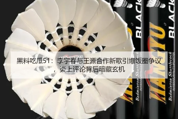 hei-liao-chi-gua-li-yu-chun-yu-wang-yuan-he-zuo-xin-ge-yin-bao-fan-quan-zheng-yi-yan-shang-ping-lun-bei-hou-an-cang-2-294.jpg